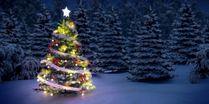El origen del Árbol de Navidad. Lo que no sabías.