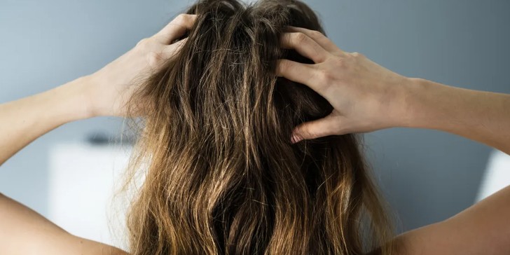 ¿Cómo influye el clima en el crecimiento y salud de nuestro cabello?