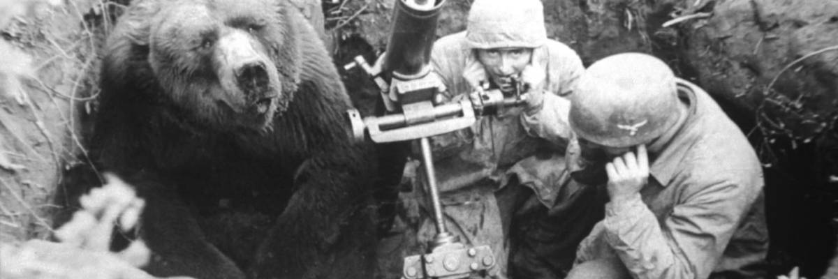 Wojtek, el oso soldado que sirvió en el ejercito polaco durante la Segunda Guerra Mundial
