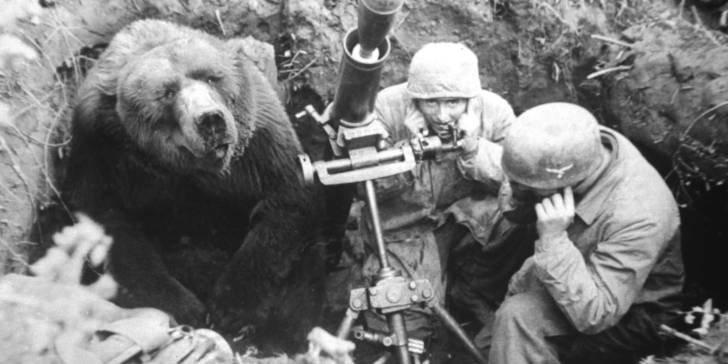 Wojtek, el oso soldado que sirvió en el ejercito polaco durante la Segunda Guerra Mundial