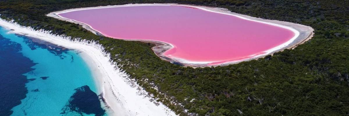 Conoce el hermoso Lago Rosa de Australia