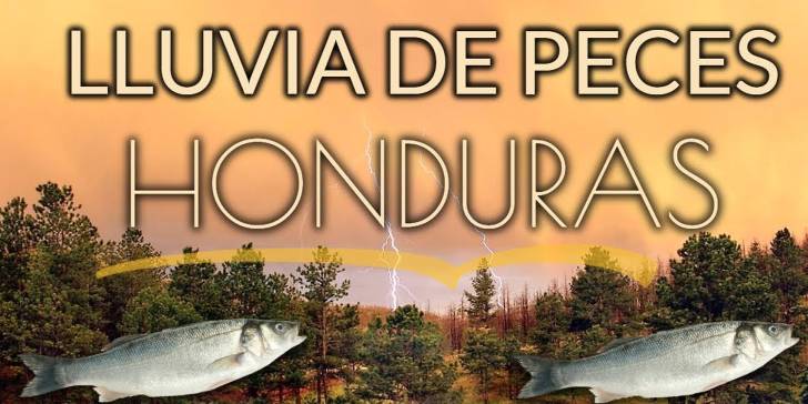 En una ciudad de Honduras llueven peces, un fenómeno extraordinario