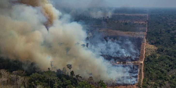 ¡El Amazonas está en peligro! Se enfrenta a la más grande crisis de deforestación en tiempo récord.