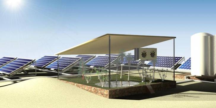 Arabia Saudita: Cultivan en el desierto utilizando paneles solares para extraer agua del aire.