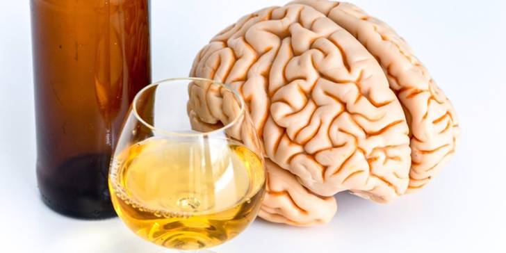 Beber alcohol: ¡Como afecta su consumo en el tamaño del cerebro!