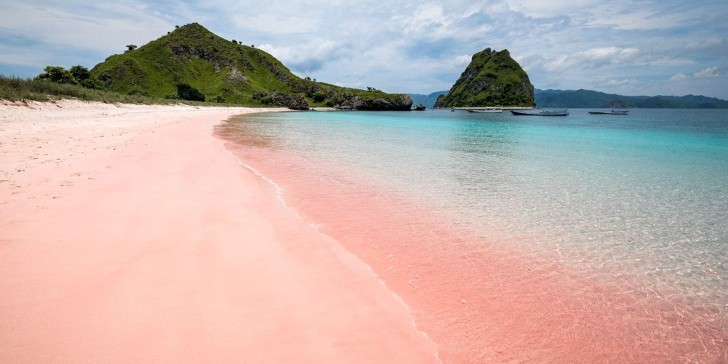 Pink Beach: Conoce esta maravilla natural ubicada en Islas Komodo, Indonesia.