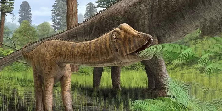 Descubren fósiles de animal desconocido que vivió antes de los dinosaurios