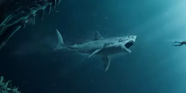 Megalodón: ¿Existe la posibilidad de que todavía se encuentre con vida el mítico tiburón prehistórico? Esto dice la ciencia.