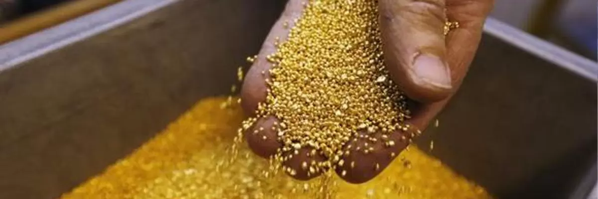 Descubren una “Bacteria Filosofal” con la poderosa capacidad de convertir metales en oro puro.