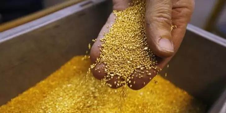Descubren una “Bacteria Filosofal” con la poderosa capacidad de convertir metales en oro puro.
