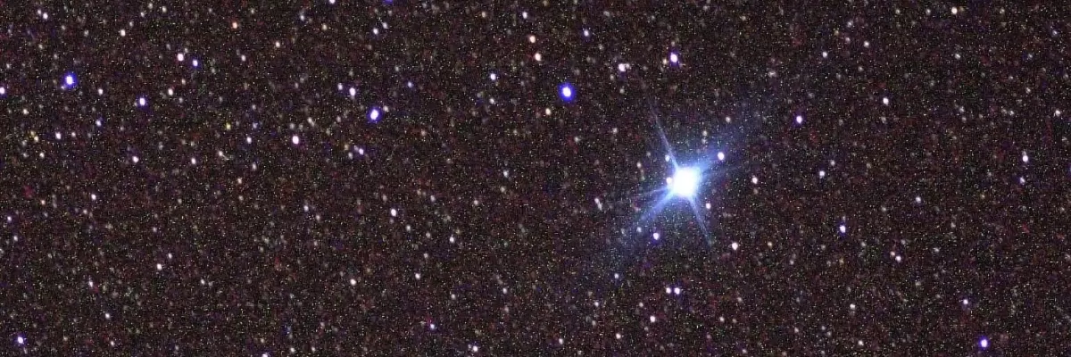¡Canopus! Conoce sobre una de las estrellas más brillantes que podrás ver en los cielos del mes de febrero.