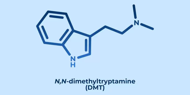 DMT, la molécula de Dios y su poder alucinógeno