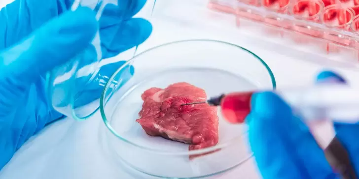 Crean nueva fábrica que producirá miles de toneladas de carne sintética al año, en Estados Unidos.