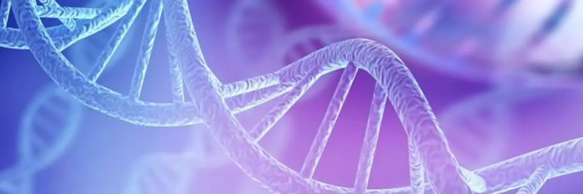Genes: Los Pilares de la Herencia y la Genética